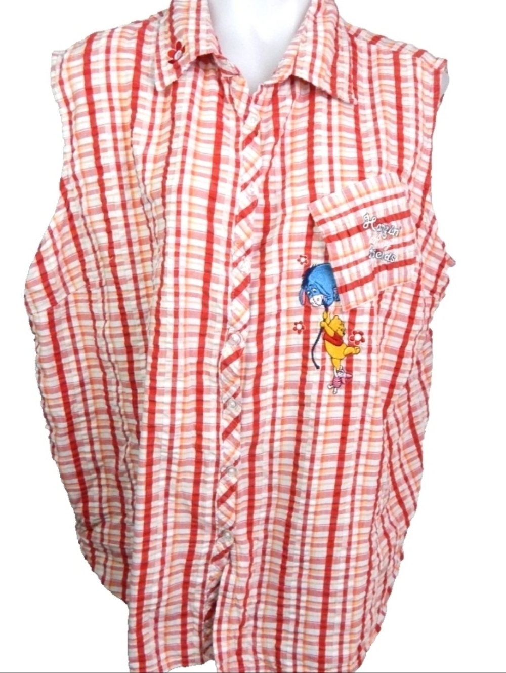 Vintage Winnie The Pooh Embroidered Plaid Shirt